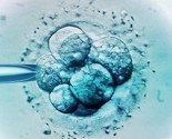 Švedska će dozvoliti medicinski potpomognutu oplodnju ženama koje nemaju partnera