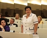 Majkić: BiH je jedina zemlja koja nema zakon o vanjskim poslovima