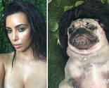 Ko je ko? Mops Doug pozira kao Kim Kardashian