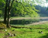 Najljepša planina u BiH: Zelengora - raj za planinare i ljubitelje prirode