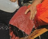 Otkrivene CIA-ine zastrašujuće metode ispitivanja: Vješanja, potapanja, mučenja i silovanja