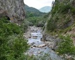 Sutjeska: Mrtvi kapital ili laboratorija u prirodi?