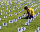 Manchester u SAD-u: Bosanci i Hercegovci napravili najveći Cvijet Srebrenice u svijetu