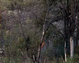 Vatra se širi od Gacka prema Bileći