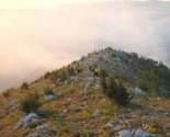 Vatrogasci ne uspijevaju obuzdati požar na brdu Križevac