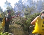 Pripadnici Oružanih snaga BiH gasit će požare u Bileći i Bosanskom Grahovu