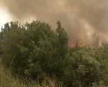 Dramatični prizori s Korčule i Pelješca: Vatrena stihija guta sve pred sobom