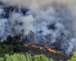 Požar kod Mostara aktivan već treći dan, gašenje za sada nemoguće