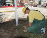 UNEP i Sarajevo Film Festival u misiji za očuvanje životne sredine