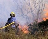 Kiša spašava vatrogasce: Požar u Trebinju skoro ugašen, situacija na Prenju nije alarmantna