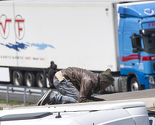 Situacija s migrantima u Grčkoj je više nego urgentna