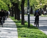 Vilsonovo šetalište postaje mjesto na kojem lokalni kriminalci maltretiraju građane