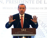 Očekuje se da Erdogan tokom dana sazove prijevremene izbore u Turskoj