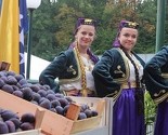 Gradačac spremno dočekuje izlagače i goste Sajma šljive