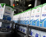 Mlijekoprodukt će prve količine mlijeka plasirati na tržište Hrvatske
