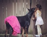 Slatkica i zvijer: Djevojčica i doberman su najbolji drugovi i sve rade skupa