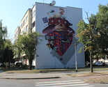 Umjetnici iz Poljske muralima ukrašavaju Banju Luku