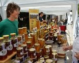 Počeo Bee Fest: Pčelari saglasni da je ovo jedna od najuspješnijih godina