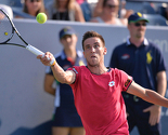 Džumhur se plasirao u polufinale ATP Challengera u Alphenu