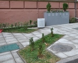Uređena zelena površina kod Prve gimnazije u Sarajevu