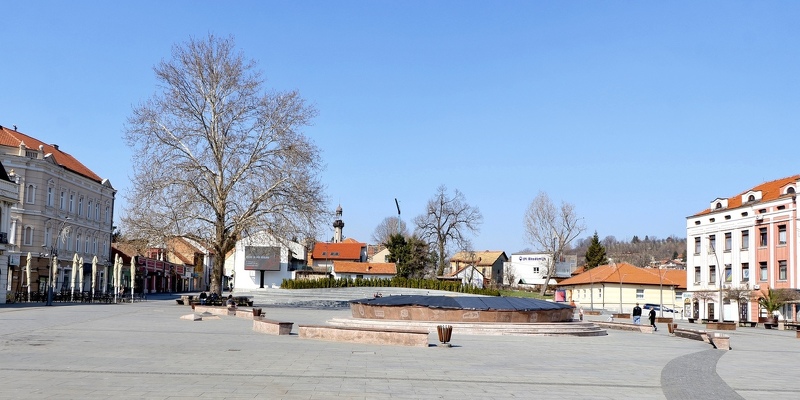 Tuzlanski kanton trinaesti dan bez novih slučajeva infekcije ...