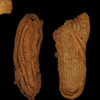 Sandale pronađene u španskoj pećini stare su 6.000 godina