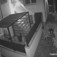 Navijači Veleža objavili snimak i pokazali kako su im Ultrasi ukrali transparente iz kuće