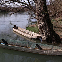 Tragedija na granici BiH i Hrvatske: Sedam osoba ilegalno pokušalo preći granicu, isplivale samo tri