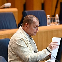 Miletić od Vijeća ministara traži milion KM kako bi BHRT prenosio Zmajeve na Mundijalu