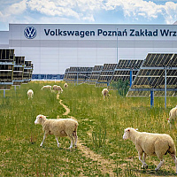 Volkswagen na solarnoj farmi u Poljskoj ovcama zamijenio kosilice