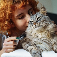 Da li vas mačka zaista voli: Ova četiri znaka to potvrđuju