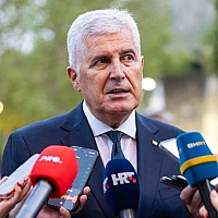Novinari pitali Čovića da prokomentariše veličanje Mladića: "Zakon je jasan, a BiH je pravna država"