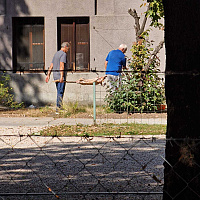 Sličica