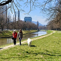 Sličica