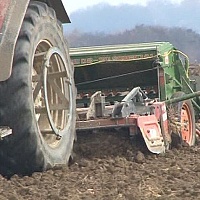 Sličica