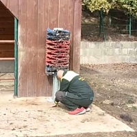 Četke za bizone i penjalice za male rakune: Kako se u Pionirskoj dolini spremaju za zimu