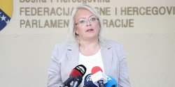 Skup u Sarajevu: Prava porodilja i porodice s djecom nisu trošak već investicija