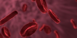 Određene vrste bakterija se hrane antibioticima i sprječavaju njihovo djelovanje
