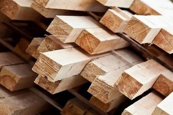 Alimanović: Afirmirati šumarstvo i drvnu industriju kao strateški sektor