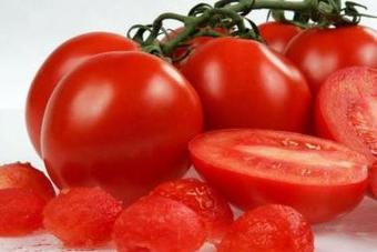 Da li će se GMO paradajz u budućnosti koristiti kao lijek?