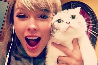 Pokrenuta tužba: Taylor Swift ukrala tekst pjesme "Shake It Off"?