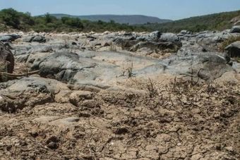 Suša i nestašica hrane: El Nino prijeti milionima ljudi u istočnoj i južnoj Africi