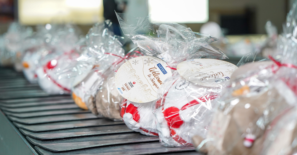 Na Međunarodni aerodrom Sarajevo sletjele Dormeo sove