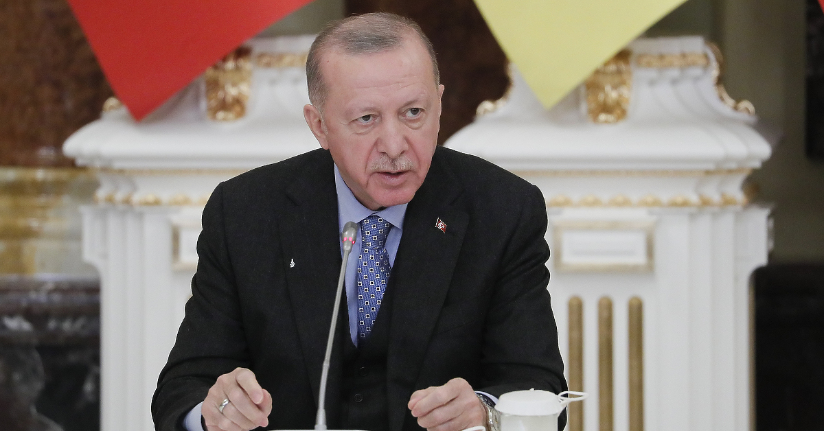 Erdogan: Razmotriti uvođenje smrtne kazne onima koji podmeću požare