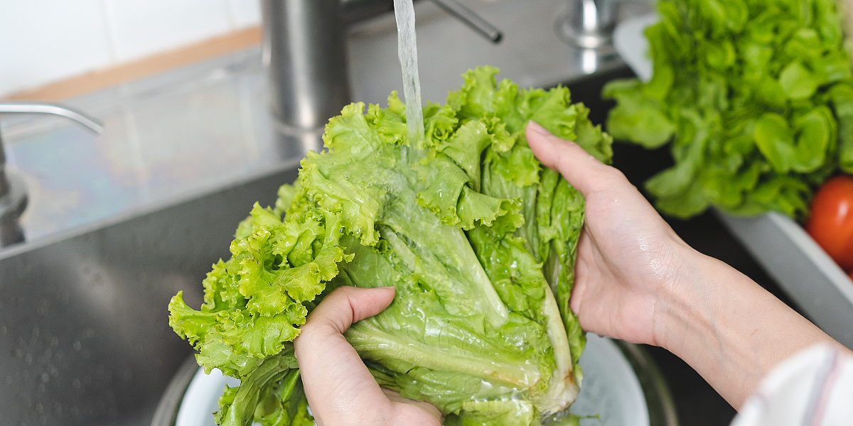 Da li pranjem zelene salate zaista uklanjamo bakterije