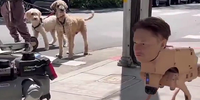Robotički pas s likom Elona Muska se susreo sa pravim psima na ulicama San Francisca