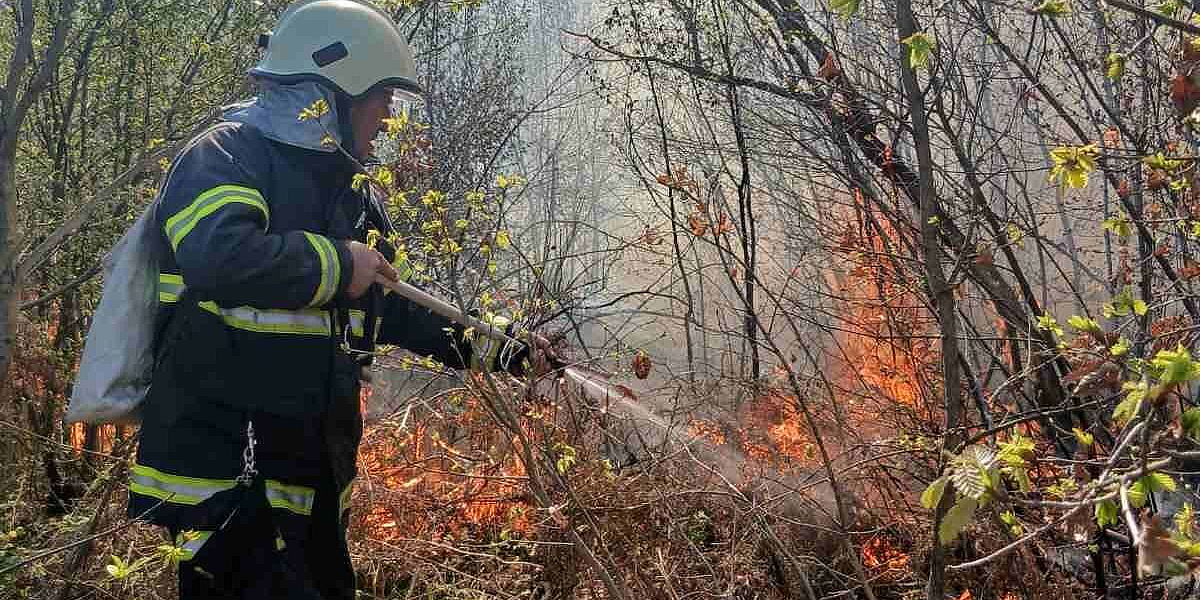Veliki požar buknuo blizu naselja Osjek na Ilidži, vatrogasci se bore s vatrom