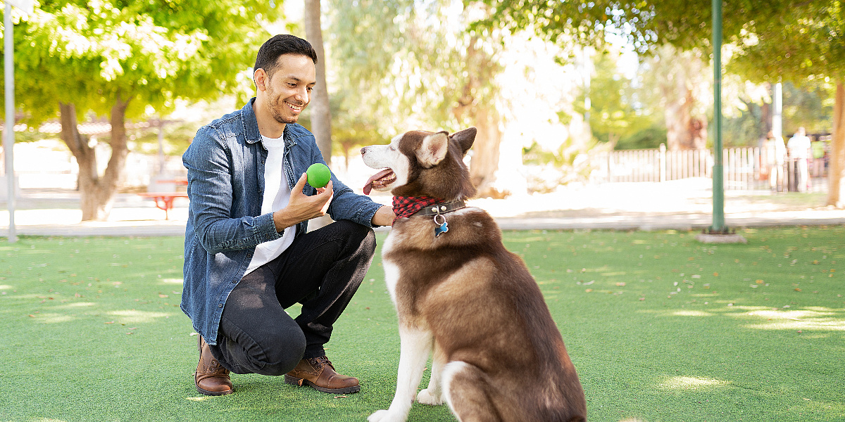 Zašto nije preporučljivo da se vaši psi igraju s teniskim lopticama