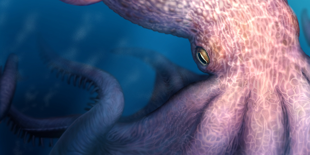 Džinovske hobotnice slične mitskom krakenu prije 100 miliona godina su vladale morima