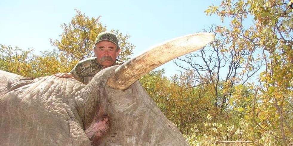 Američkog milionera tokom lova na rijetke vrste životinja u Africi pregazilo krdo slonova